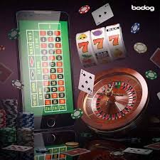 67ibd